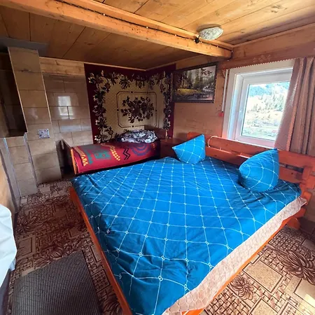 пасіка Orman Evi *