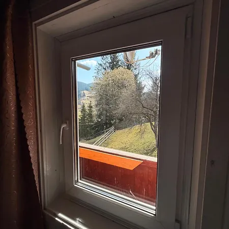 пасіка