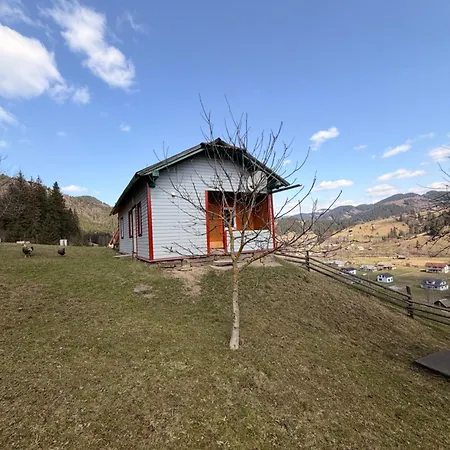 пасіка Orman Evi Zelene