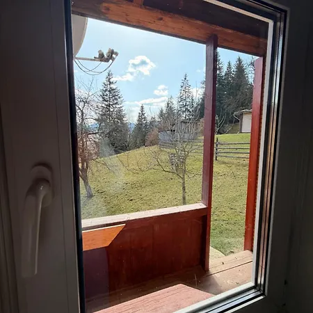 пасіка Orman Evi Zelene